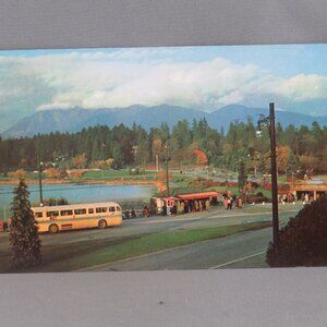 Vintage Postcard - Lost Lagoon Vancouver - Walker and Ward